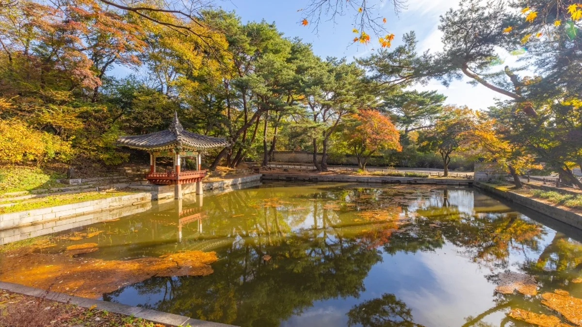 창덕궁과 후원 [유네스코 세계유산]