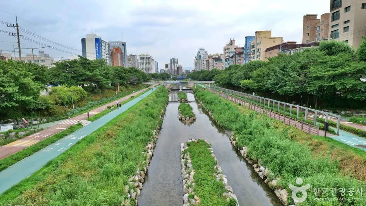 “6.7km 길이를 걷다 보면 서울이 이렇게 아름다웠다니”… 자연과 도시의 조화 불광천 여행지