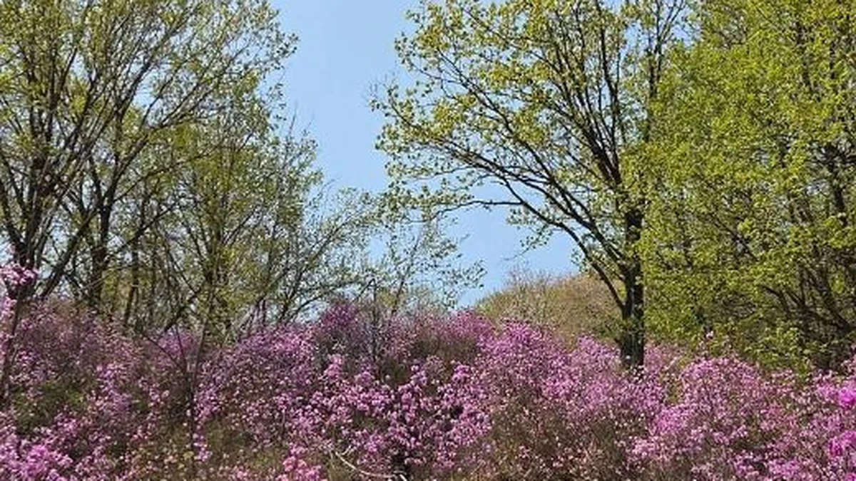 청계산