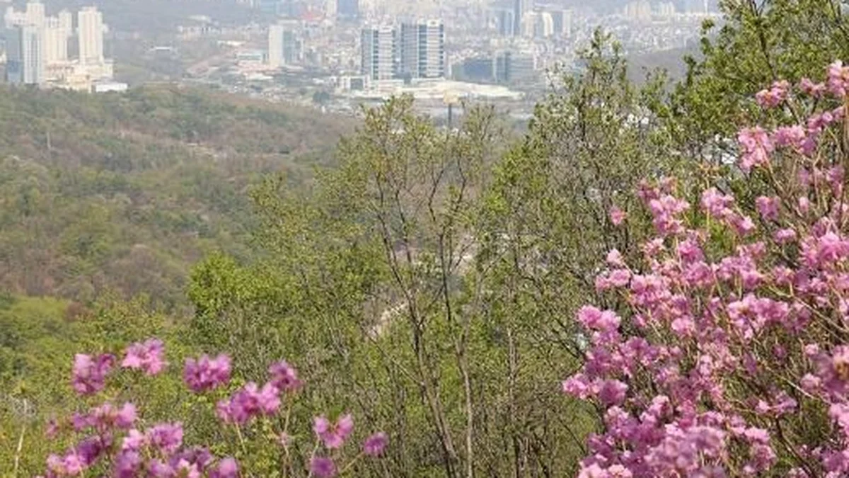 청계산