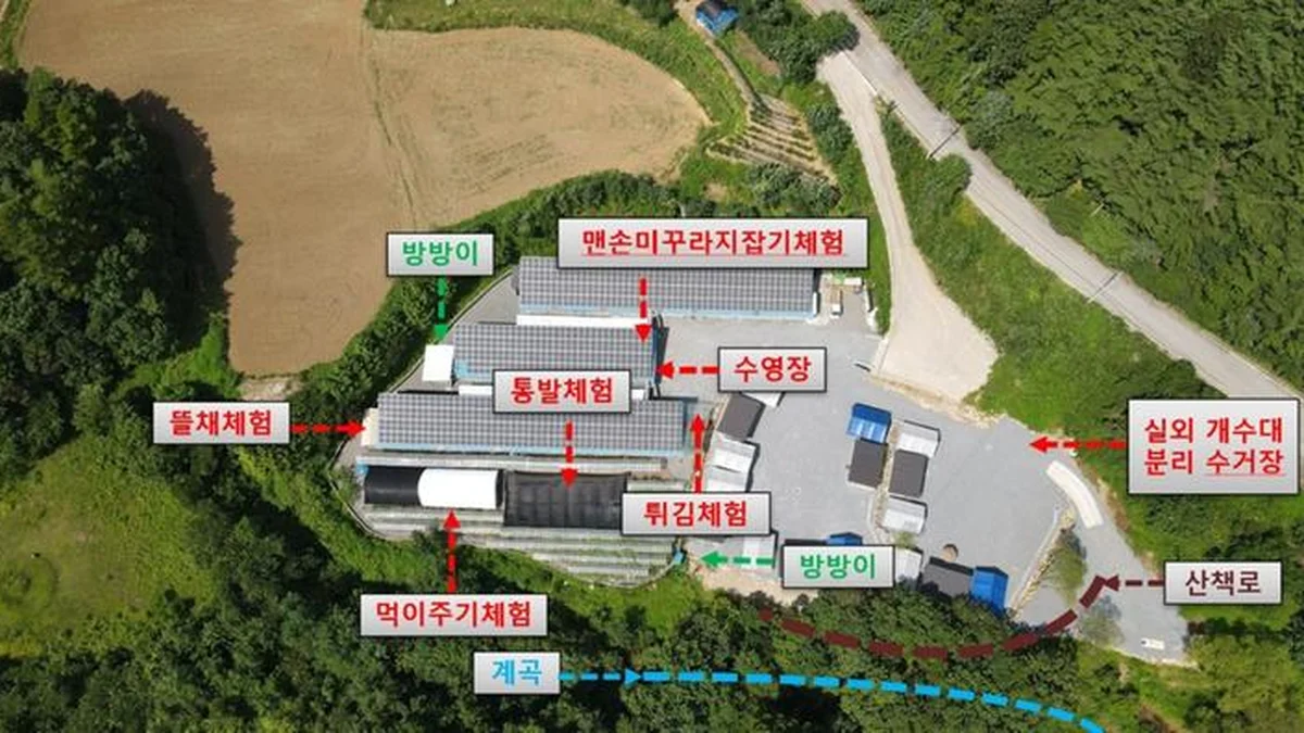 미꾸라지 캠핑장