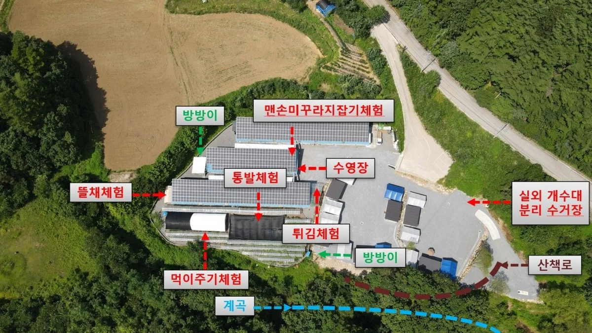 미꾸라지 캠핑장