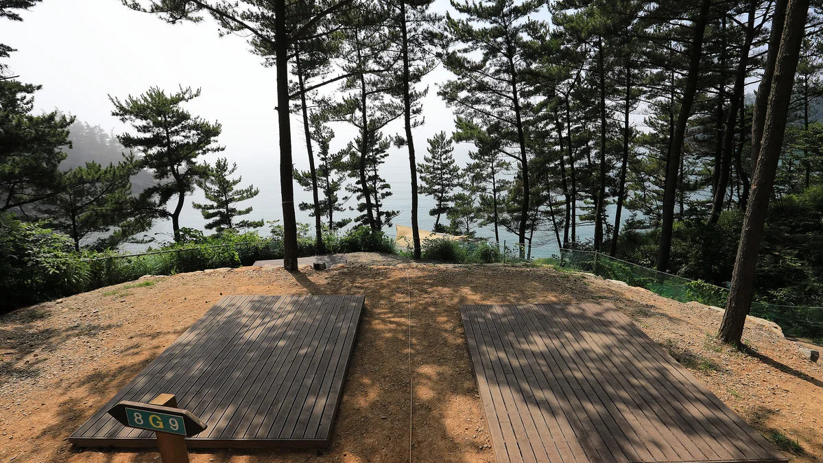 SE클럽(태안둘레길캠핑장&펜션)