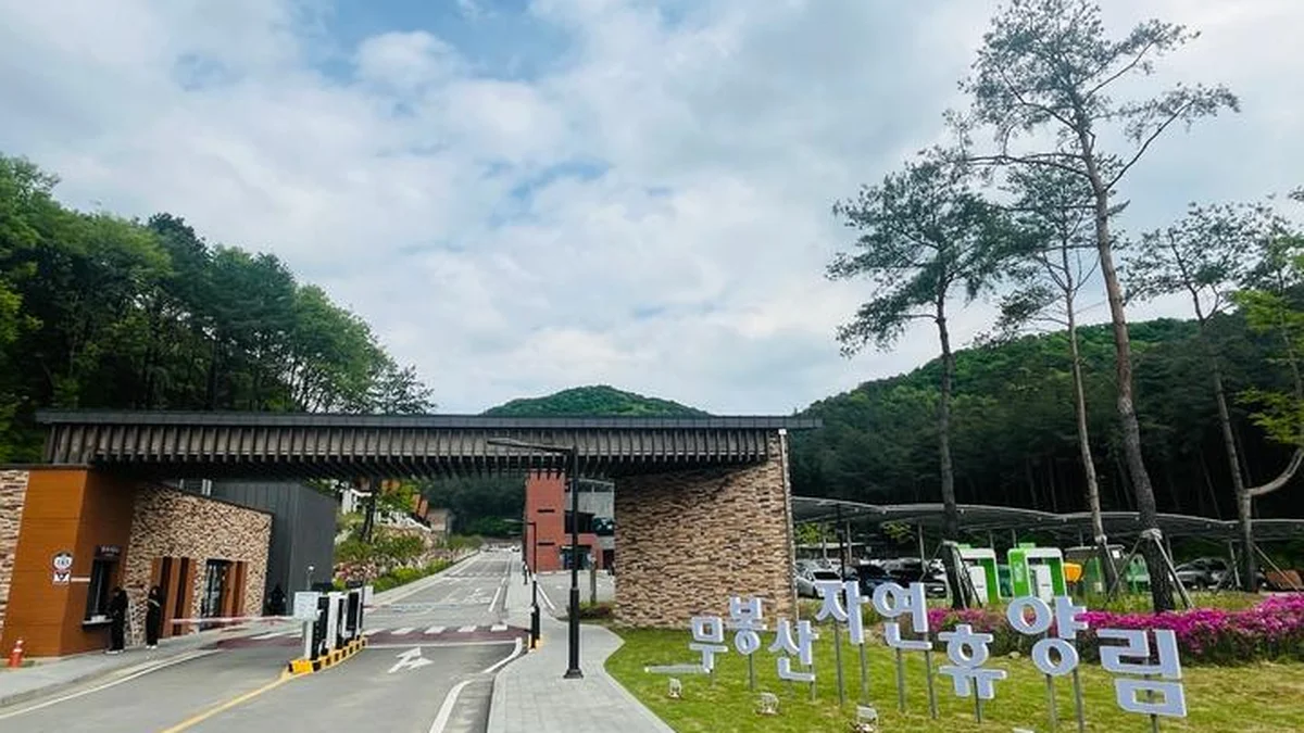 “겨우 30분 거리에서 이런 자연이라니!”… 도심 탈출에 딱인 200ha 힐링 여행지