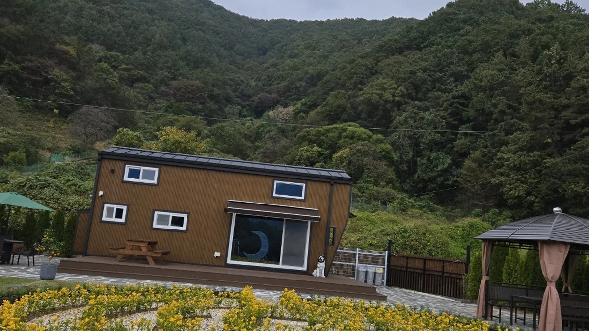 달빛소나타
