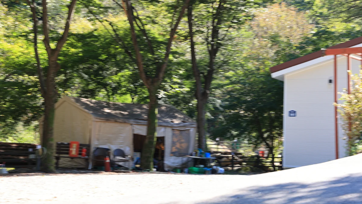 포레스트벨리캠프