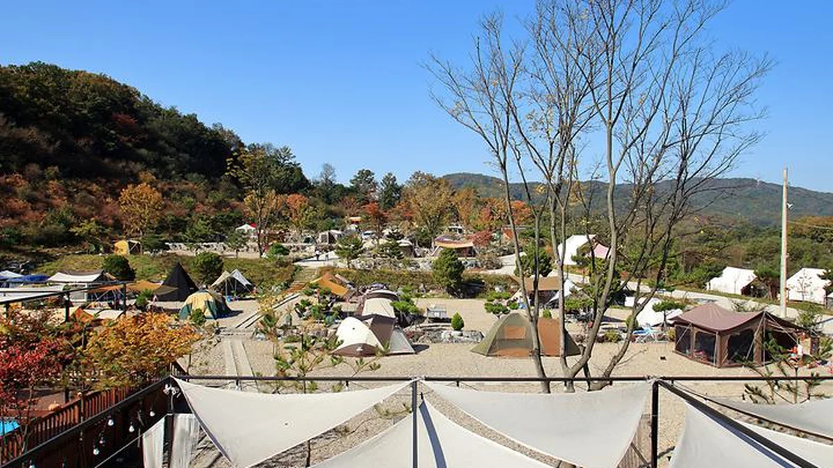 “서울에서 60km? 이렇게 가까운 캠핑지라니!”… 도심 속 자연을 만끽하는 당일치기 여행지