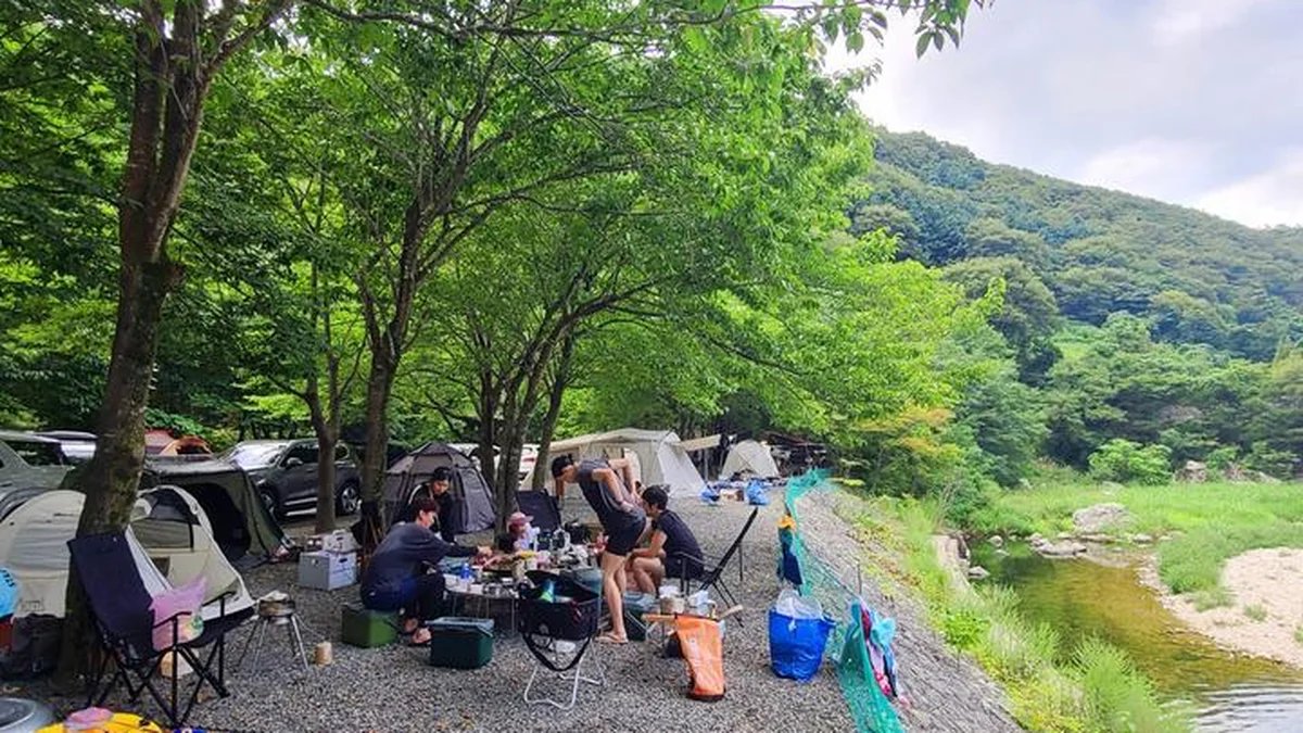 “밤하늘에 진짜 별을 삼킨 거 같아요”… 12,000평 캠핑 명소