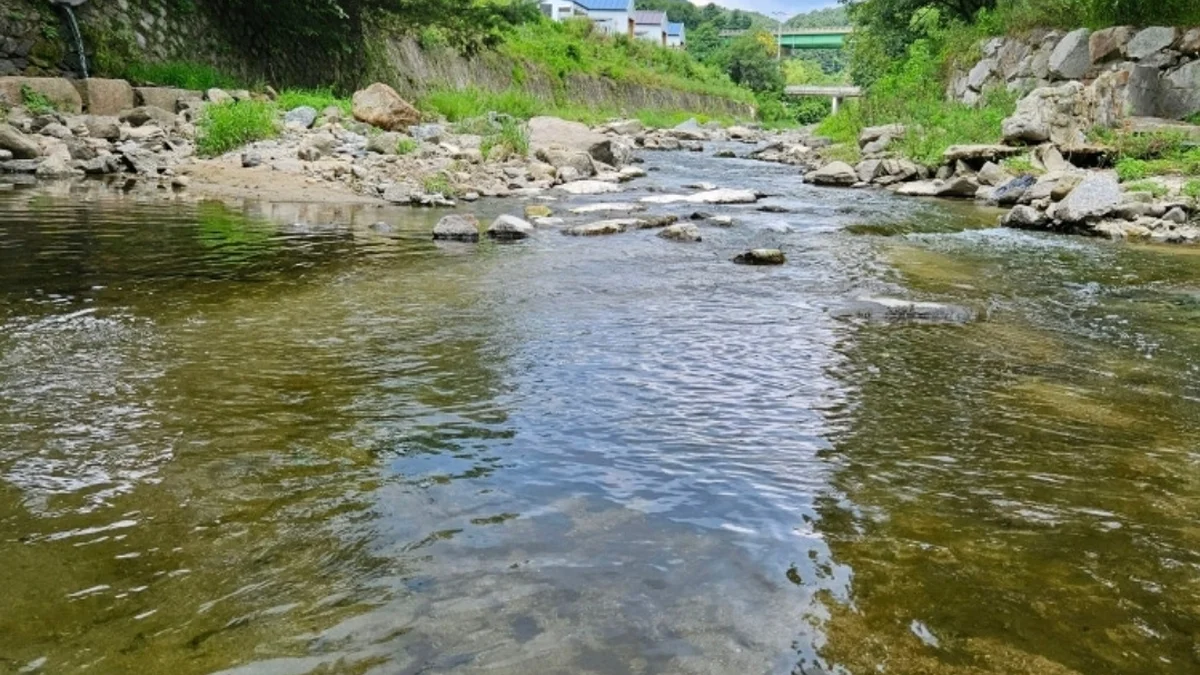 별밤 글램핑