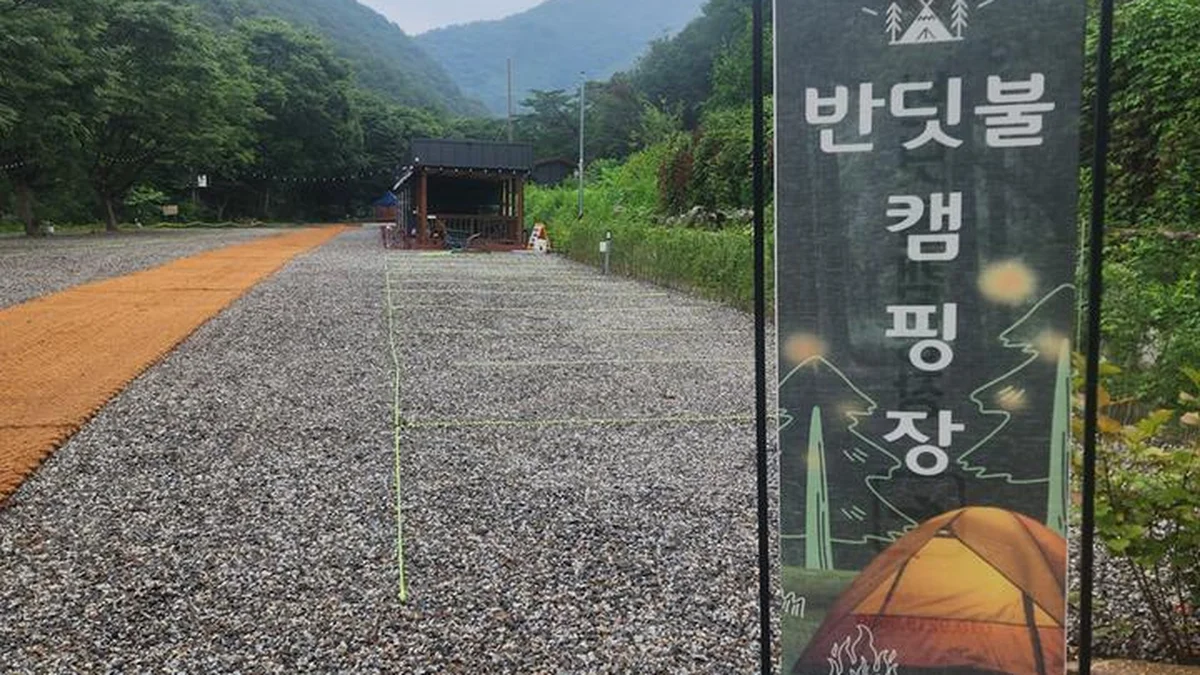 “밤하늘에 반딧불의 축제라니…” 30,000㎡ 숲속 자연 그대로의 캠핑 여행지
