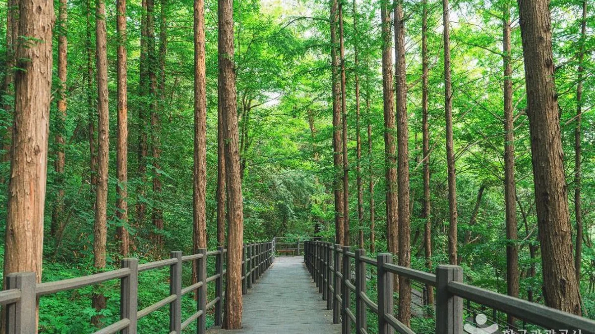 서대문 안산(안산자락길)