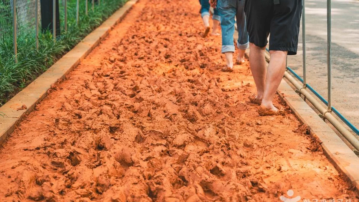 서대문 안산(안산자락길)