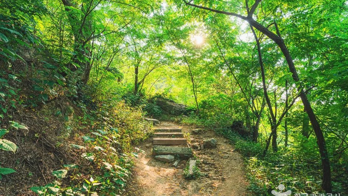 서대문 안산(안산자락길)