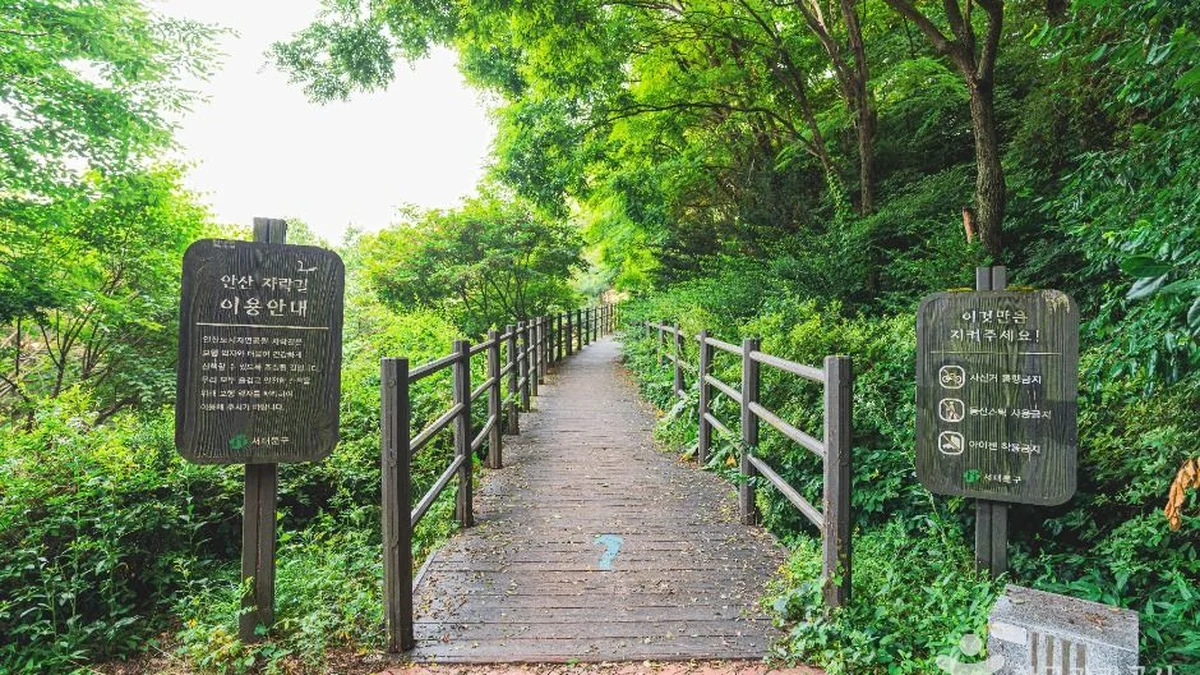 서대문 안산(안산자락길)