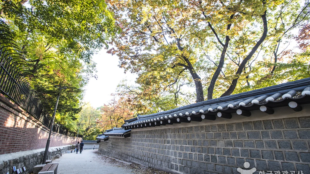 덕수궁 돌담길