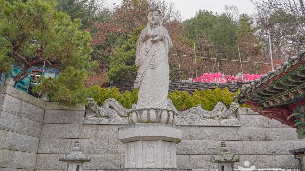 백련사(강북)