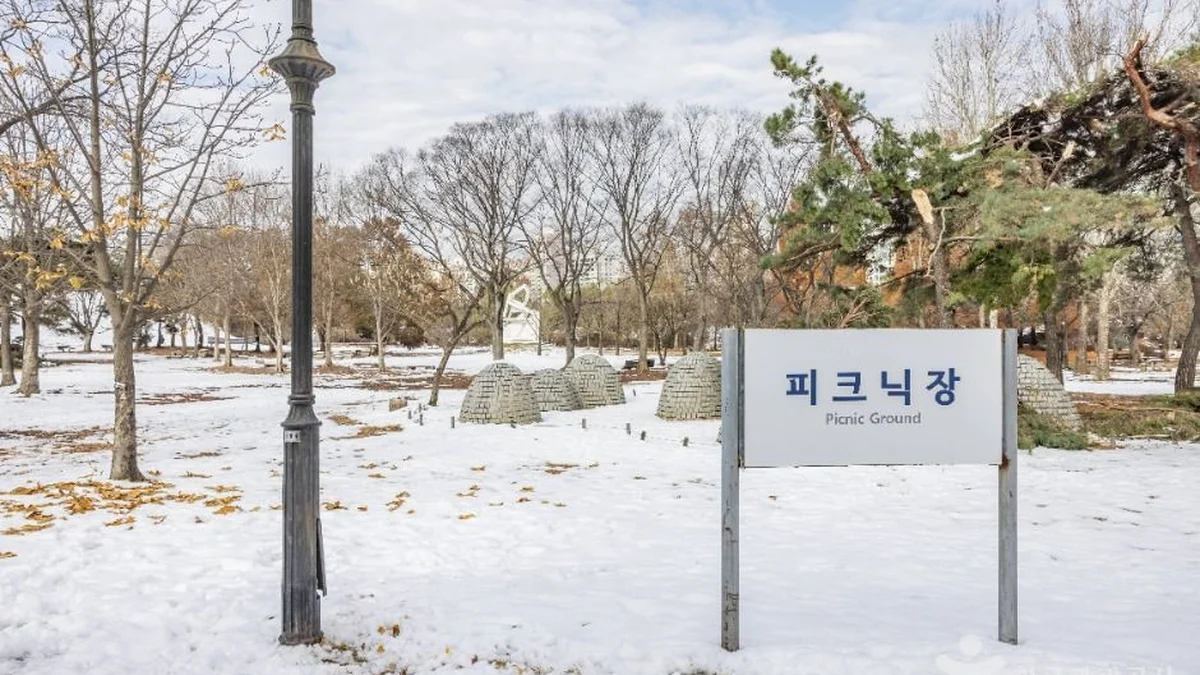 “1,430,000㎡가 전부 도심 속에 있다고?”… 이렇게 넓은 서울의 푸른 명소