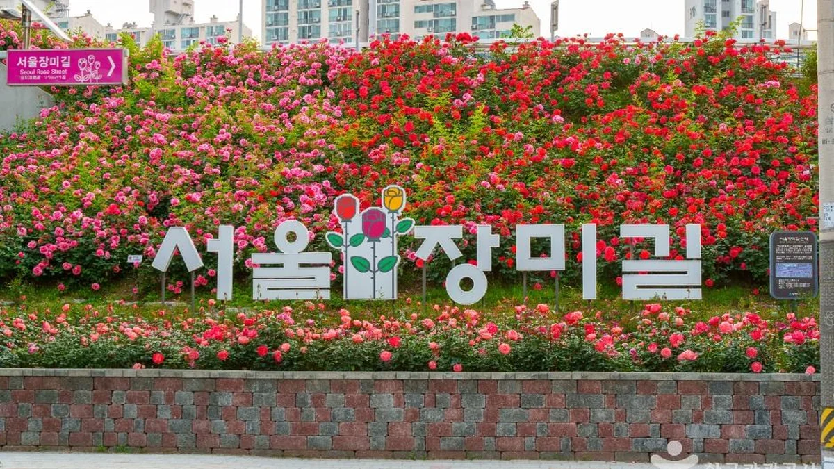 중랑장미공원