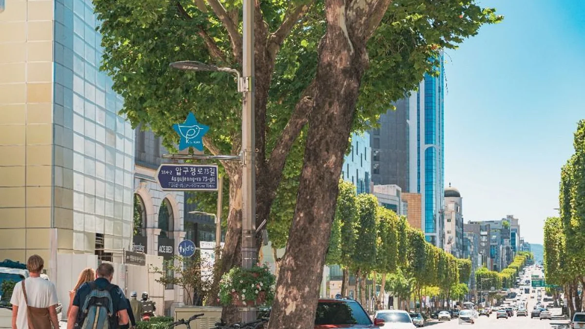 케이스타로드(KstarROAD)