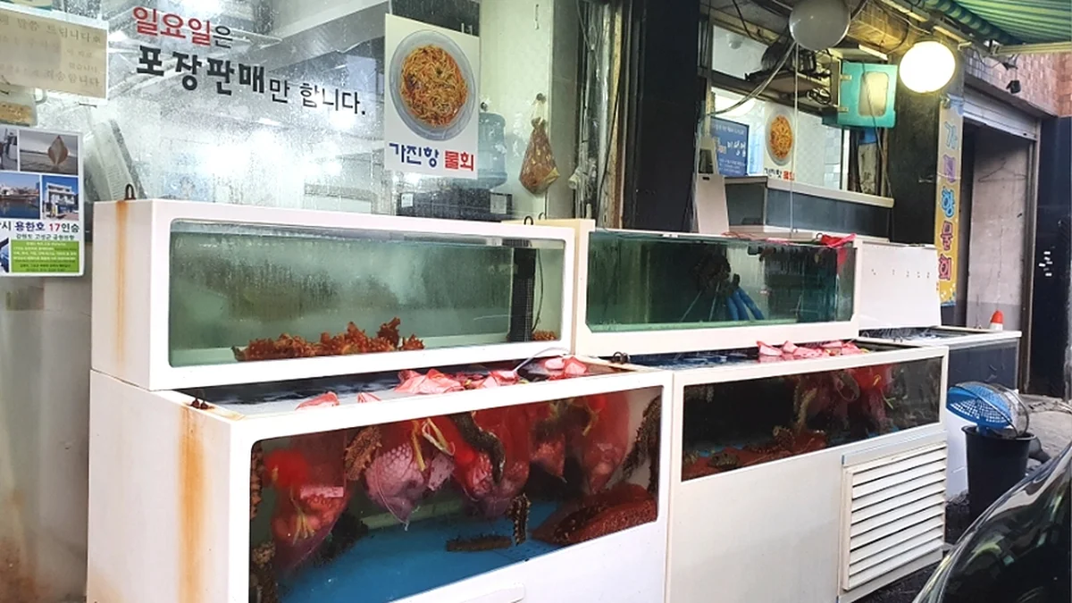 “신선한 회가 입안에서 녹아내린다니?…” 198번지 맛집의 비밀 명소