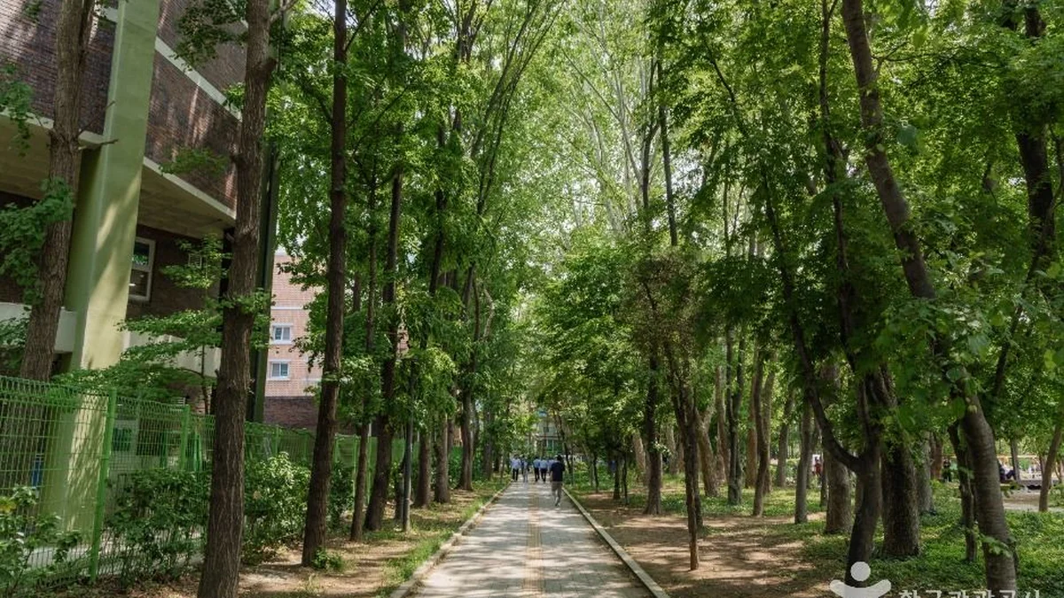양재근린공원