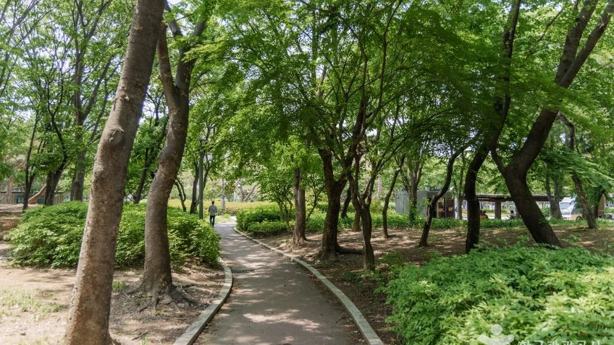 양재근린공원