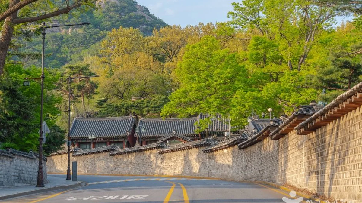 “이렇게 역사와 함께 걷는다는 게 믿기지 않아!”… 청와대 앞길 1.5km 명소