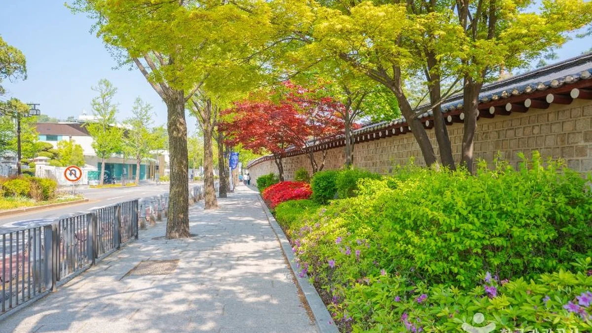 청와대 앞길