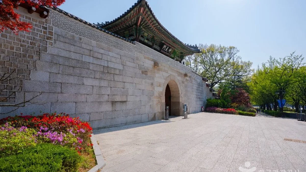 청와대 앞길