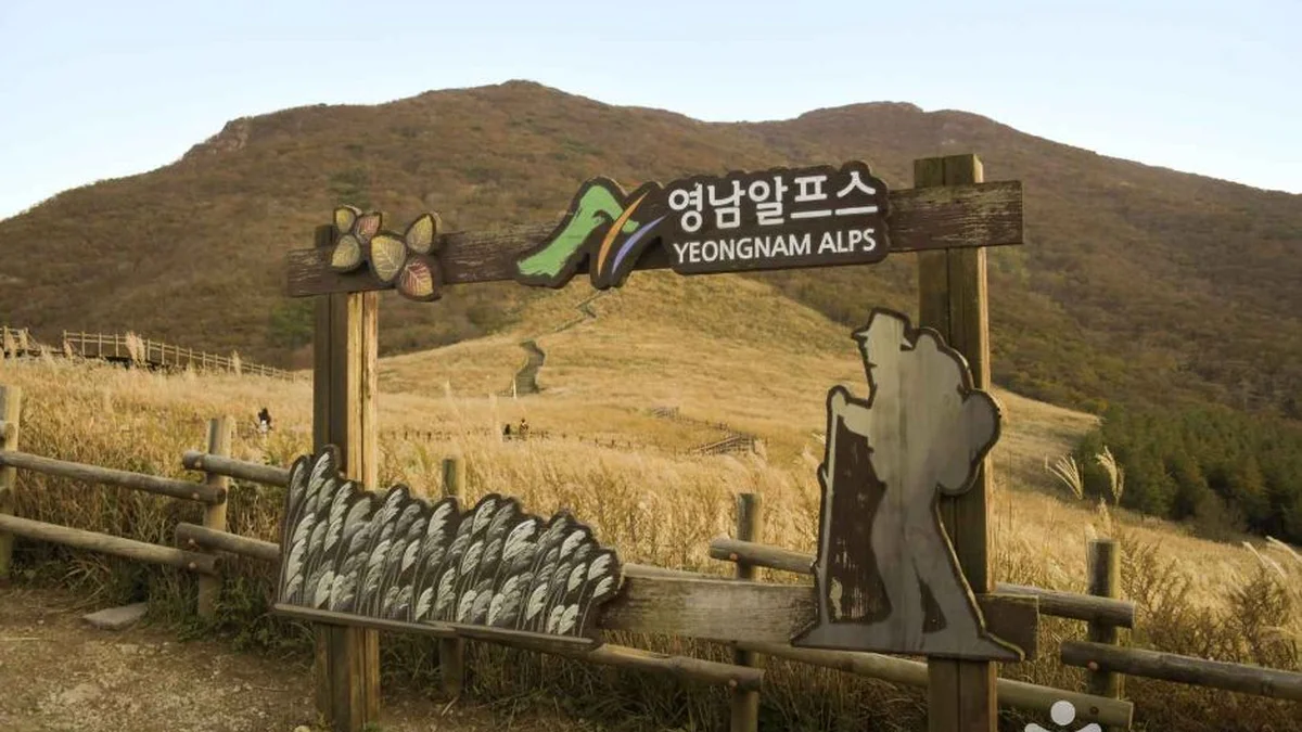 “해발 616m라니, 진짜 자연의 품속 같아요”… 울산 숨은 산책 여행지