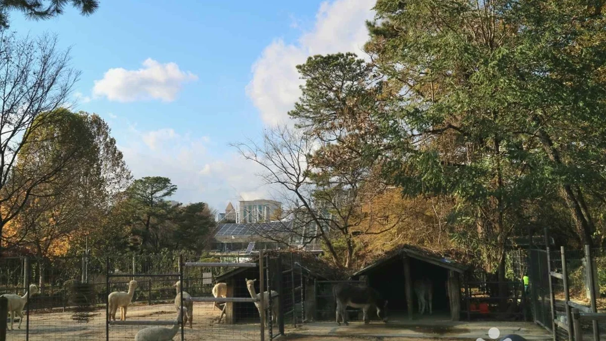 서울어린이대공원