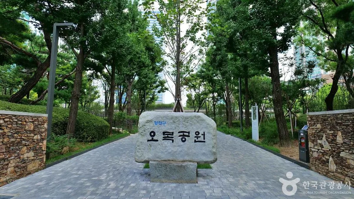 “20,000㎡에 이런 자연이?”… 도심 속 오아시스 오목공원