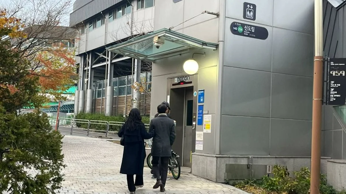 “2만㎡ 해바라기가 이렇게 피어났어요!”… 도심 속 황금빛 쉼터 공원