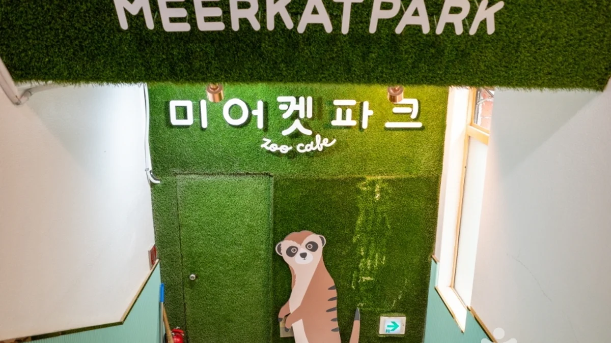 미어캣파크