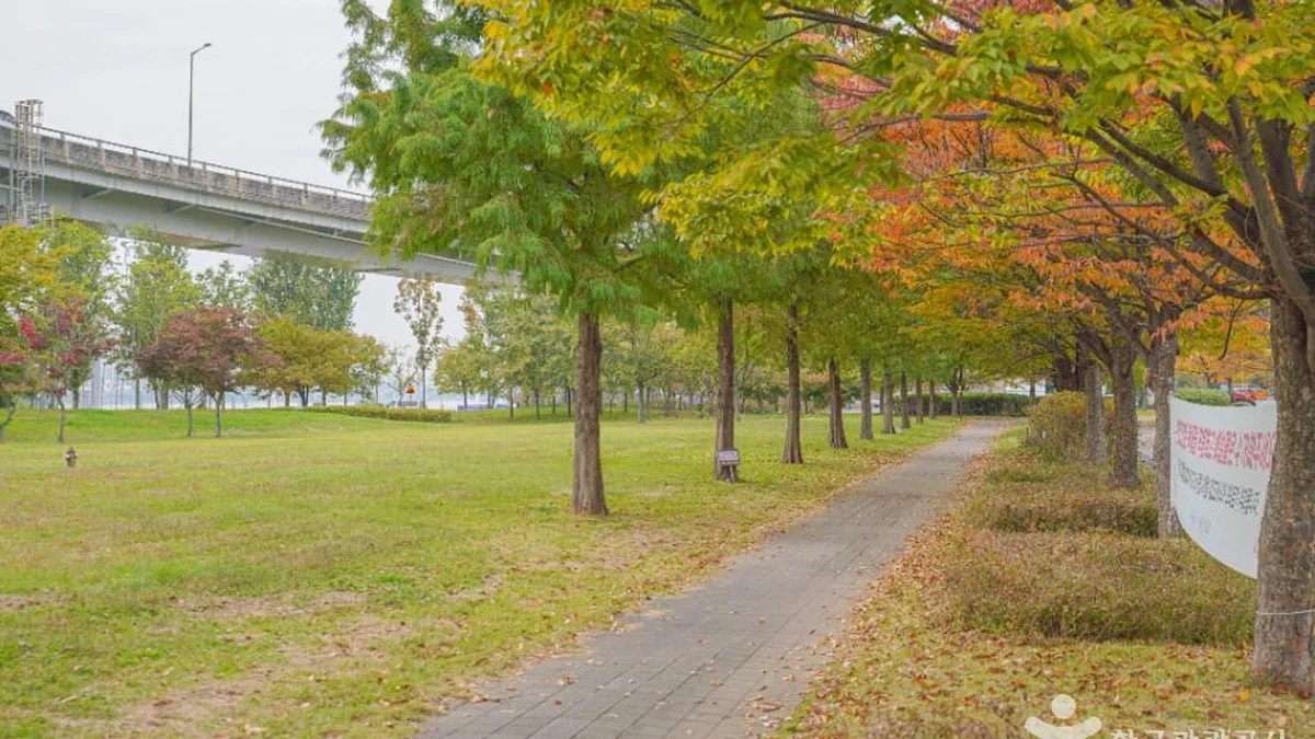 난지한강공원