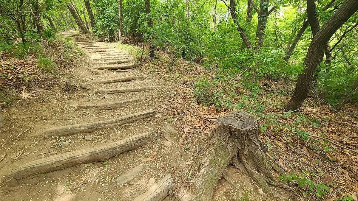 구룡산(서울)
