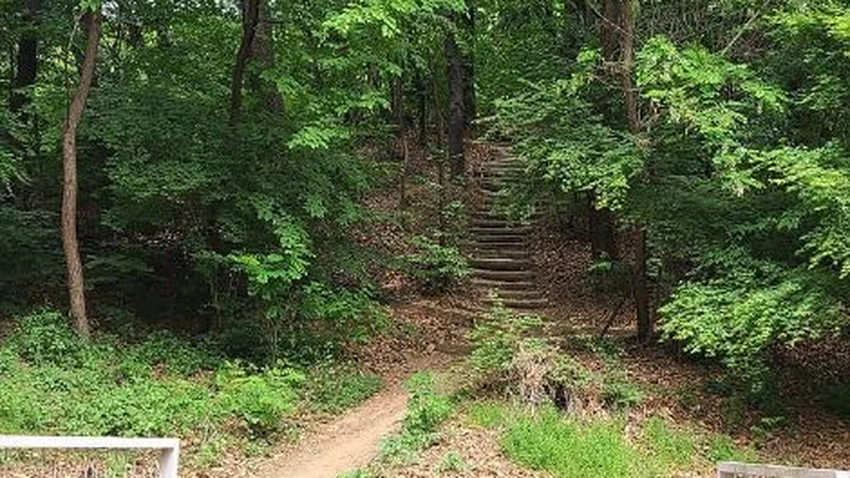구룡산(서울)