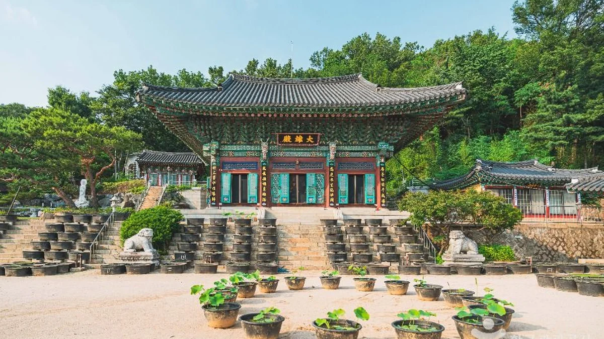 “봉원사에서 1시간만 걸었는데, 진짜 이래요?”… 서울 도심 속 고즈넉한 100년 전통 여행지