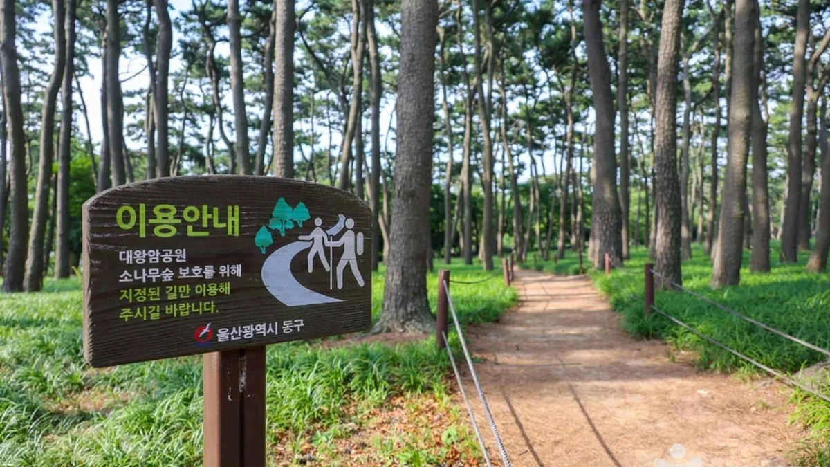 쇠평어린이공원