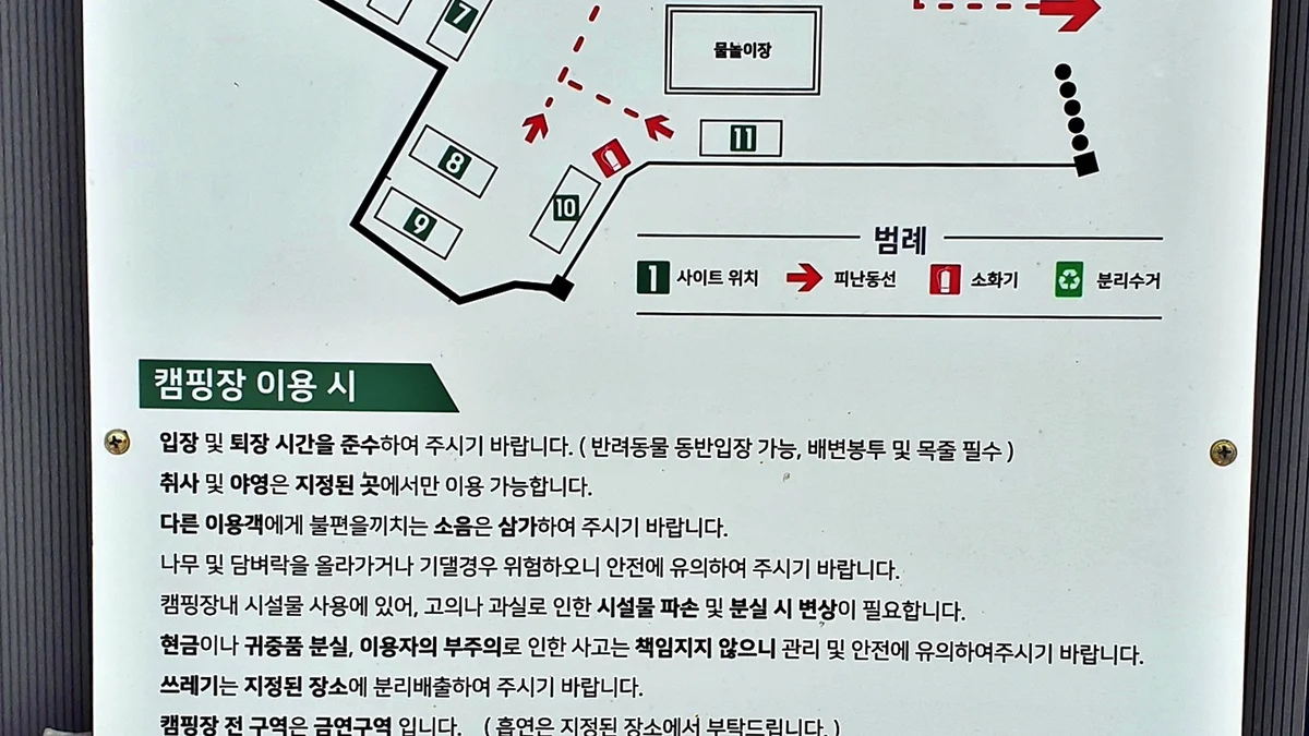 조이포레