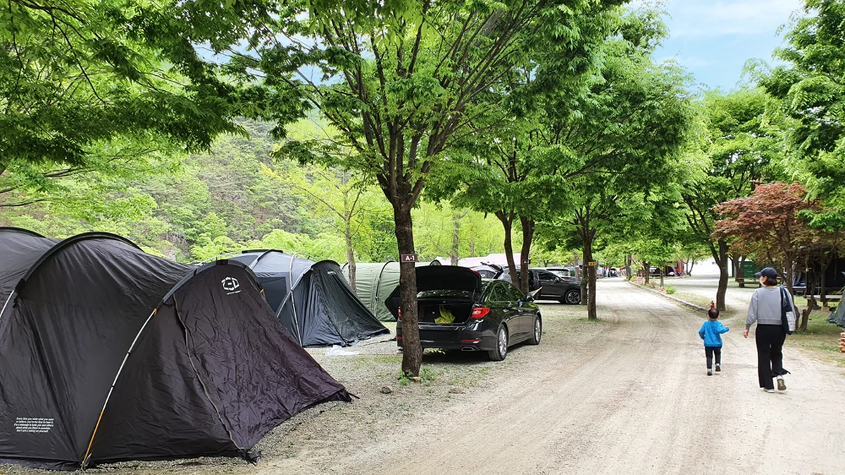 미산가족오토캠핑장