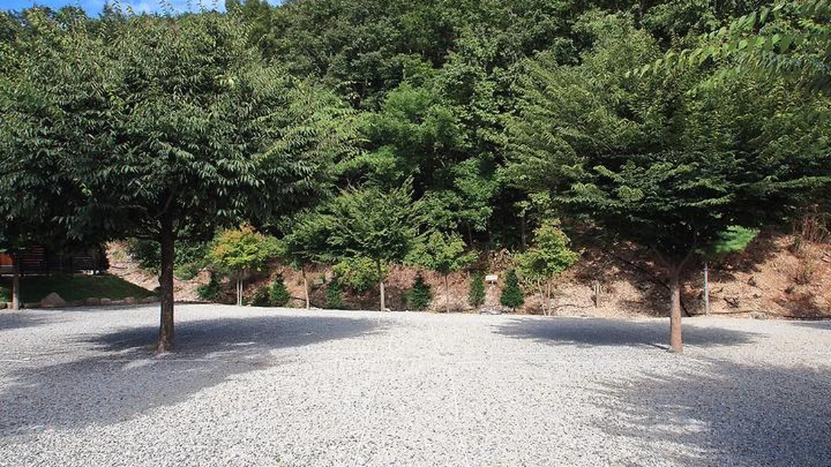 해바라기 캠핑장