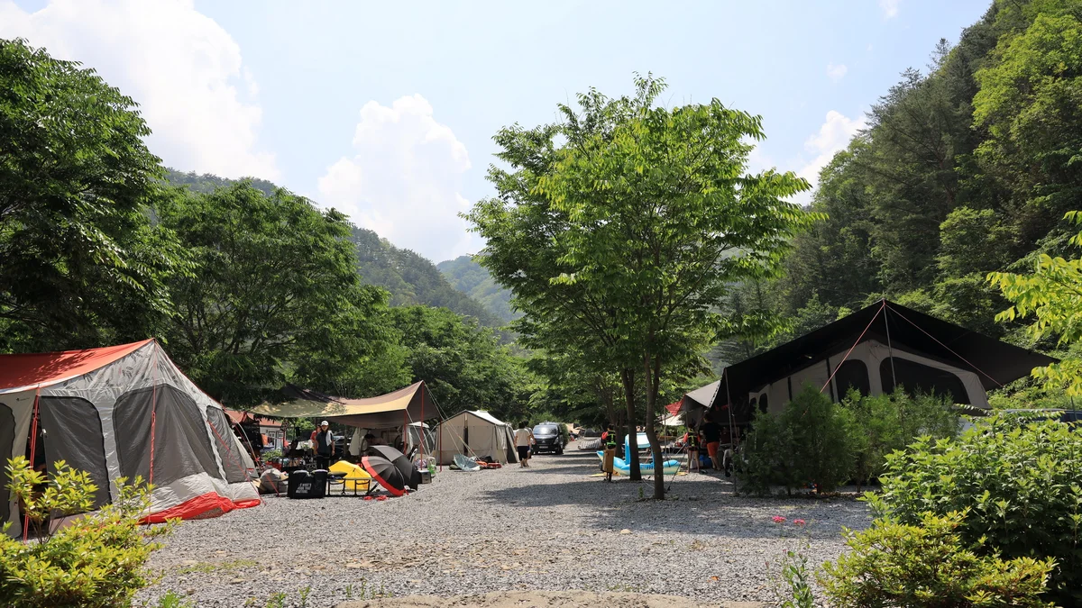 내리계곡 솔바람 캠핑장