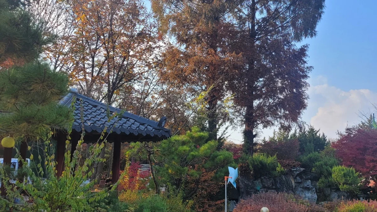 금산만악리수목원 오토캠핑장