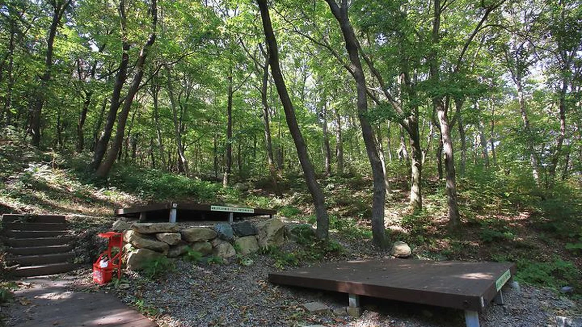 “경주에서 불과 20km 떨어진 자연 천국이라니?”… 숲속 캠핑과 산책의 명소