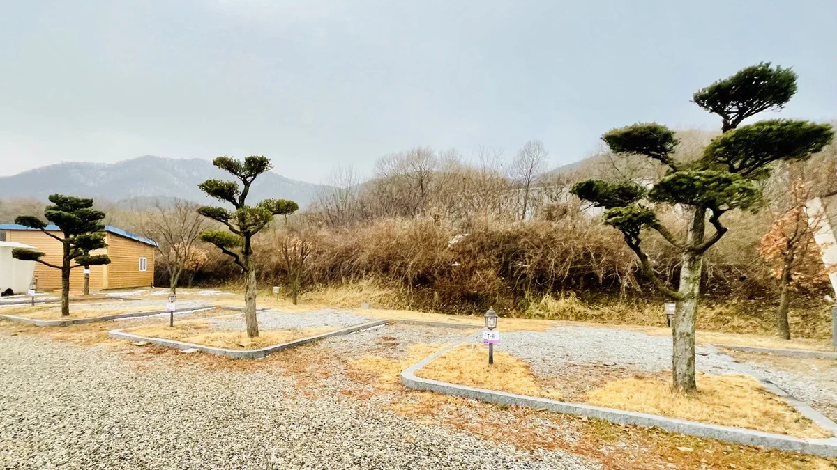 용인 대장금파크 캠핑장