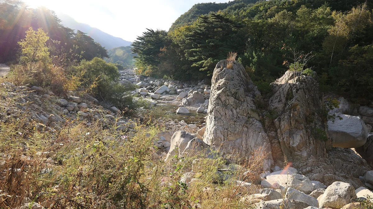 양양오색 휴랜드 야영장