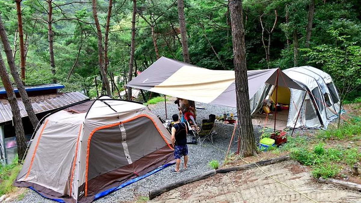 “자연과 하나가 되었던 그 순간…”… 별빛 가득한 325m 초원 힐링 여행지