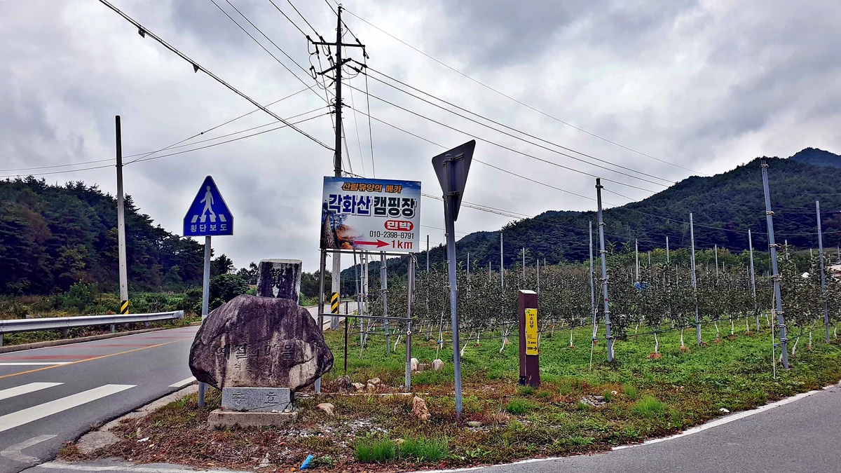 각화산캠핑장