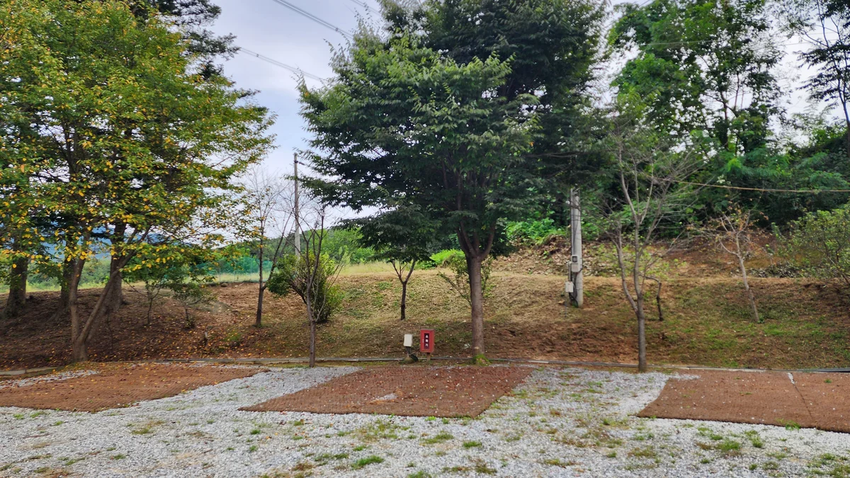 용인반딧불캠핑장